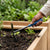 Person using a Carbon Steel Double Head Garden Hoe Fork in a garden bed filled with soil and plants.
