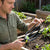 Man inspecting a Farming Fork Hoe in a vegetable garden with raised beds.