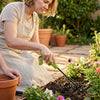 Woman using a Heavy Duty 25cm Garden Hand Cultivator to aerate soil around flowers in a garden.