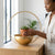 Modern Metal Hanging Pendant Light Fixture showcasing an elegant design with a succulent planter and a gold finish.