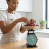 Timeless Mechanical Kitchen Scale 5kg in use, measuring grapes in a kitchen environment.
