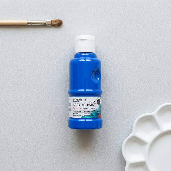 Professional Vivid Acrylic Paint 120ml