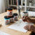 Professional Vivid Acrylic Paint 250ml displayed on a table with a hand painting creatively.
