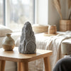 Christmas Garden Decoration Sound Box placed on a wooden table with decorative vases in a cozy room.