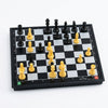 Portable Beginners Magnetic Chessboard Game