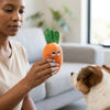 Vegetable & Fruit Plush Squeaky Dog Toy