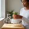 White Metal Bicycle Plant Stand for Indoor Decor