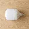 LED Bullet Type Spotlight Great Light Bulb
