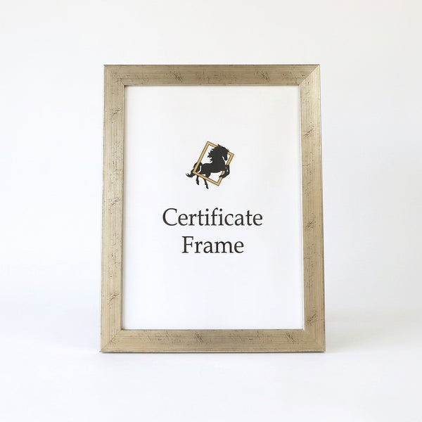 A3 Wall-Mount Certificate Display Frame