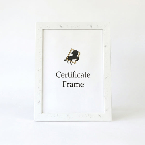 A3 Wall-Mount Certificate Display Frame