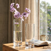 Tall Slim Glass Cylinder Vase for Table Decor