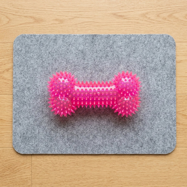 TPR Spiky Bone Dog Chew Toy with Squeaker