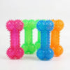 TPR Spiky Bone Dog Chew Toy with Squeaker