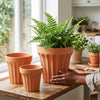 Wide Edge Striped Garden Style Magnesia Plant Pot