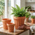 Wide Edge Striped Garden Style Magnesia Plant Pot