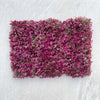 Plastic Artificial Plant Wall Panel