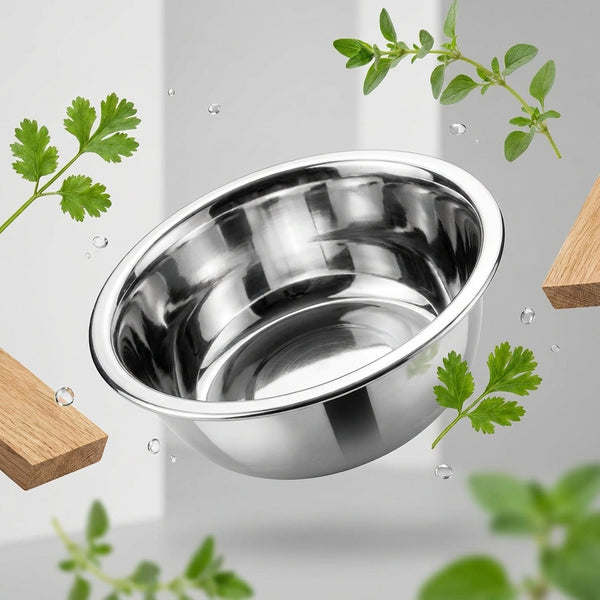 Polished Stainless Steel Travel Bowl