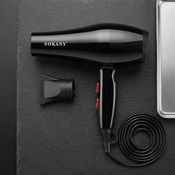High Power Professional Hair Dryer