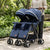 Reversible Double Twin Double Stroller