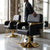 Stylish Heavy Duty Hydraulic Pump Reclining Chair