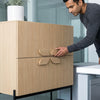 Stylish Modern Wooden Storage Cabinet for a Neat Home