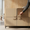 Stylish Modern Wooden Storage Cabinet for a Neat Home