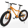 26'' Large Frame Black Fat Tire Bicycle