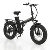 20 Inch Foldable Fat Tyre Electric Bike 48V 250W