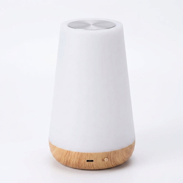 Portable USB Rechargeable Remote Control Dimmable Touch Lamp
