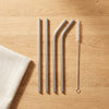 Stainless Steel Reusable Straw Set