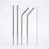 Stainless Steel Reusable Straw Set