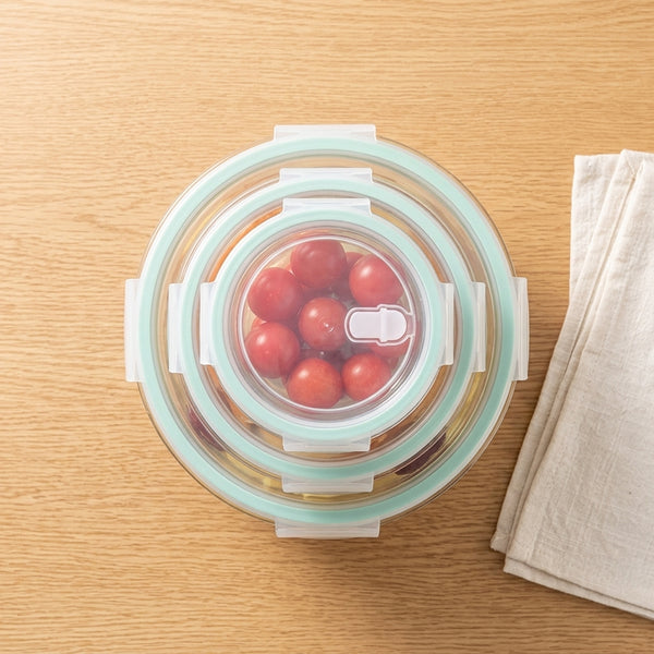 Borosilicate Glass Food Storage Containers
