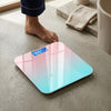 Gradient Duo Colour Portable LED Digital Bathroom Scales