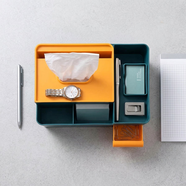 Multi Functional Facial Tissue Holder