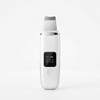 Facial Pore Cleaner