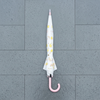 Fruit Print Umbrella 55cm