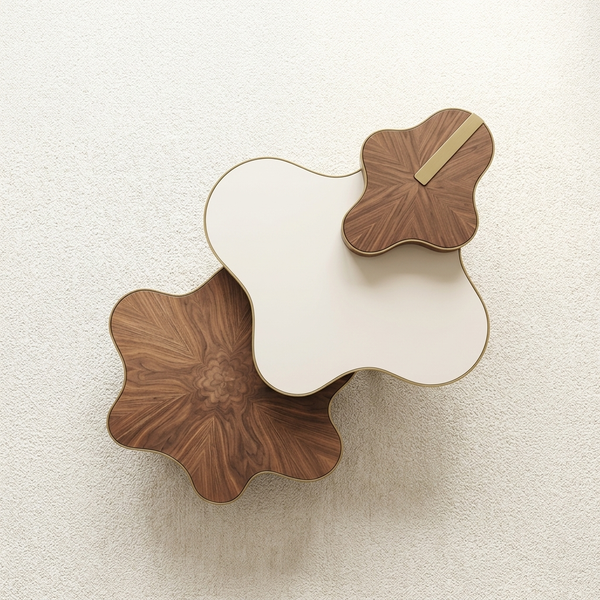 Set of 3 Organic Shape Coffee Tables