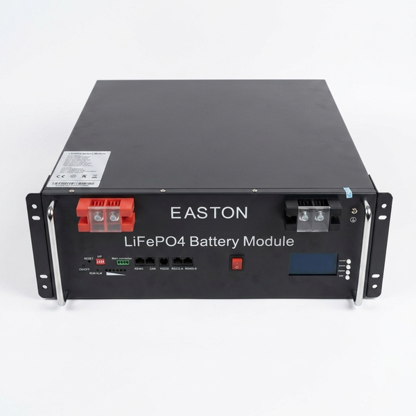 51.2V 100Ah LiFePO4 Lithium Battery Module