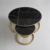 Modern Two-Tier Round Coffee Table
