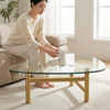 Oval Glass Coffee Table