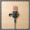 Professional Condenser Microphone