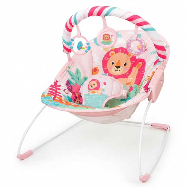 Baby Music and Soothe Bouncer
