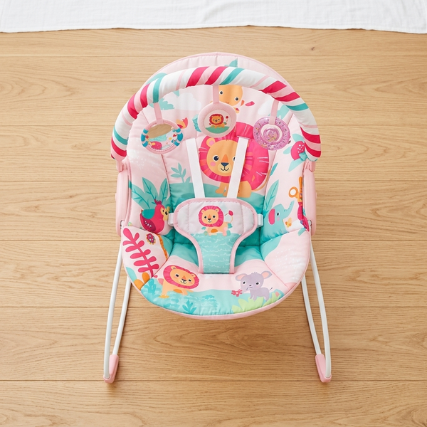 Baby Music and Soothe Bouncer