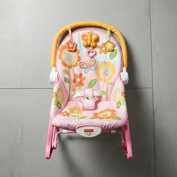 Baby to Toddler Rocker – Adjustable Infant & Toddler Seat