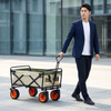 Foldable Beach Storage Trolley