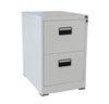 2-Drawer Compact Steel Filing Cabinet for efficient office organization in compact spaces.