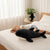 Child peacefully cuddling with a 50 CM Plush Shark Soft Toy on a bed, enhancing comfort and playfulness.