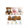 Cute Teddy Bear Plush