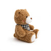 Cute Teddy Bear Plush